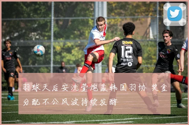 羽球天后安洗莹炮轰韩国羽协 奖金分配不公风波持续发酵